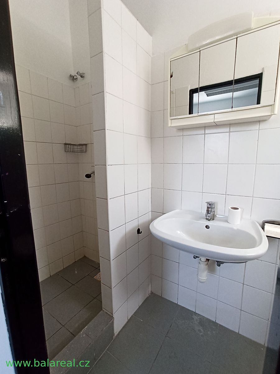 Pronájem bytu 4+1 120 m² – fotografie 4