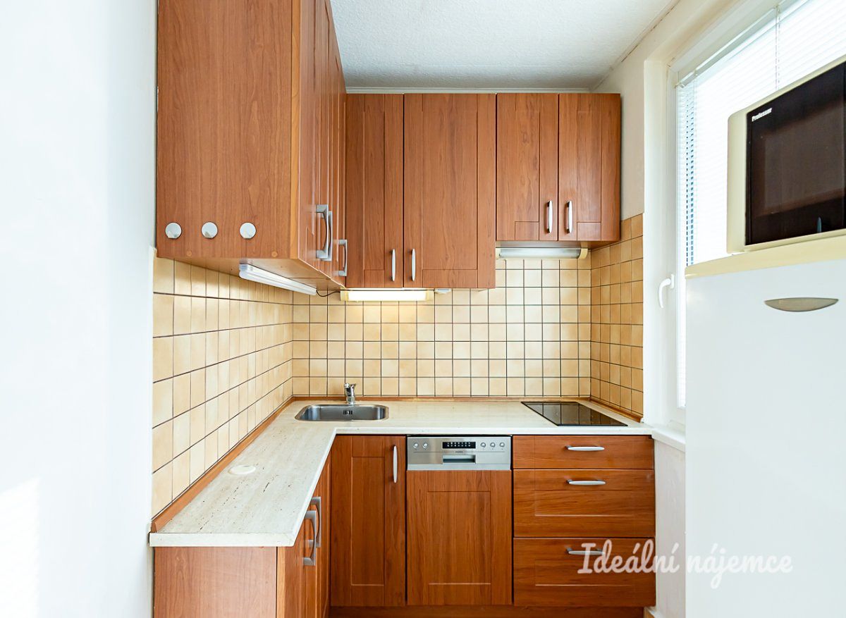 Pronájem bytu 1+1 29 m² – fotografie 4