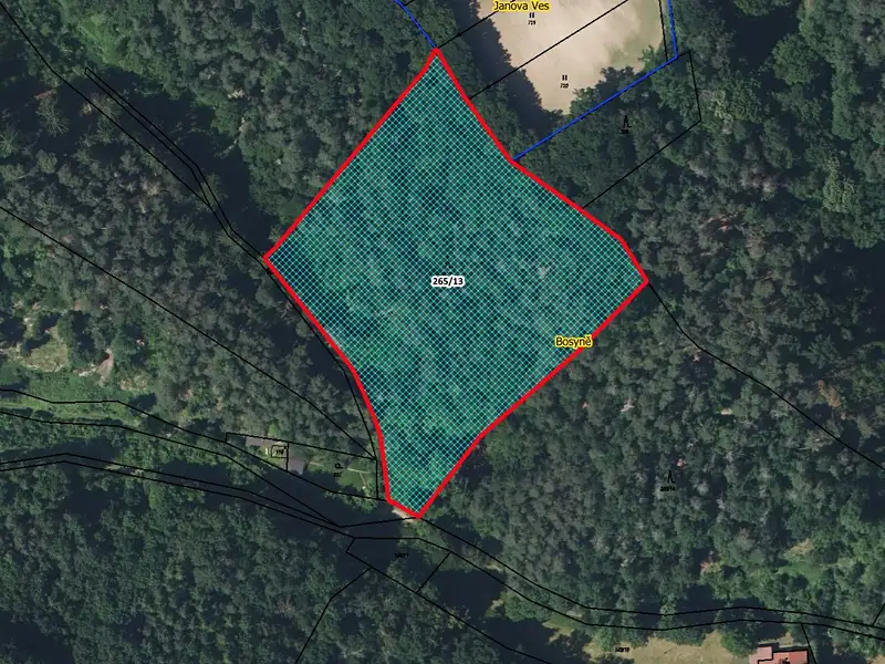 Prodej lesa 12485 m², Vysoká – náhled fotky 1