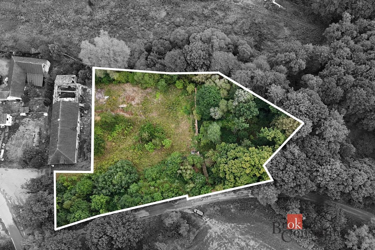 Prodej stavebního pozemku 4500 m² – fotografie 2