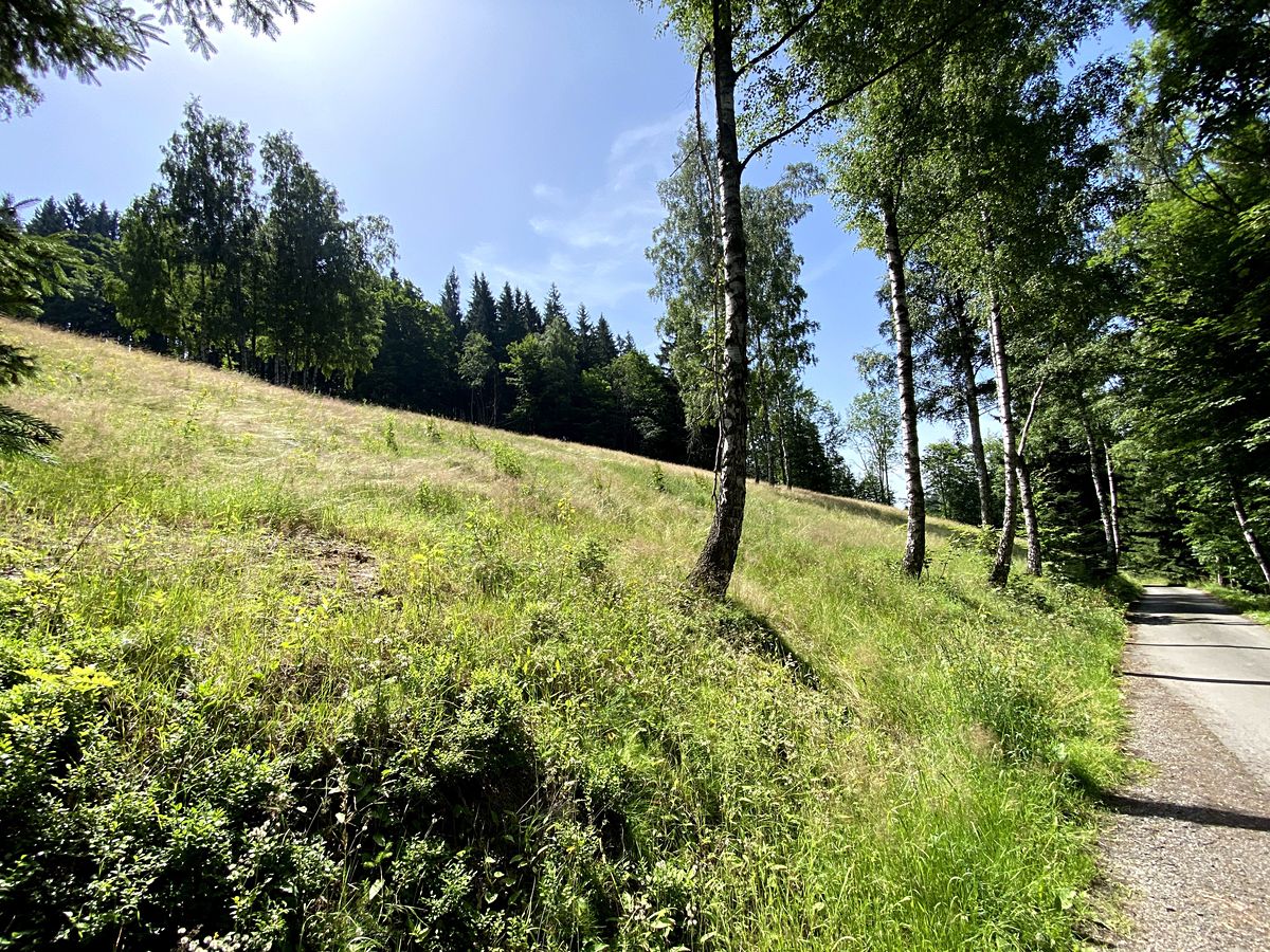 Prodej louky 15826 m²
