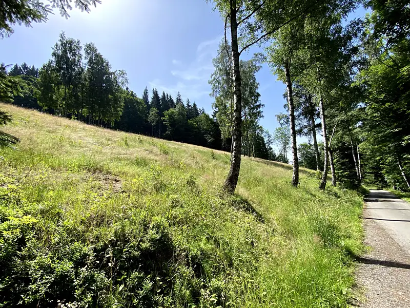 Prodej louky 15826 m², Jablonec nad Jizerou – náhled fotky 1