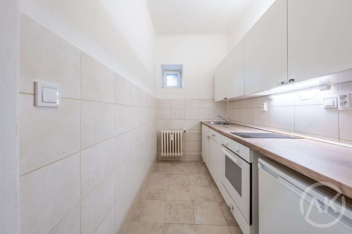 Pronájem bytu 1+kk 39 m² – fotografie 4