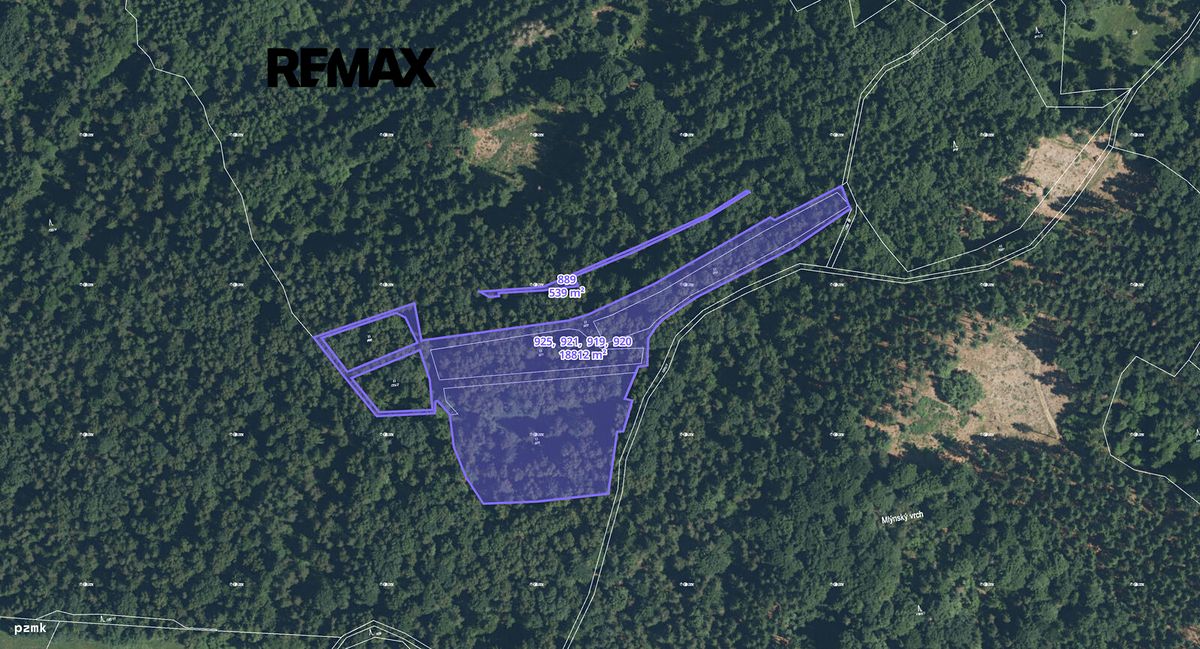 Prodej lesa 8533 m²