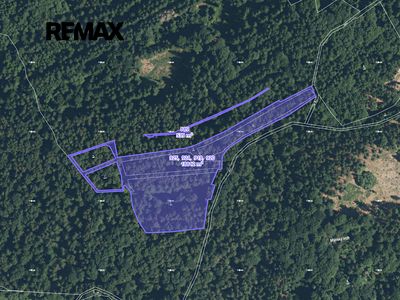 Prodej lesa 8533 m²