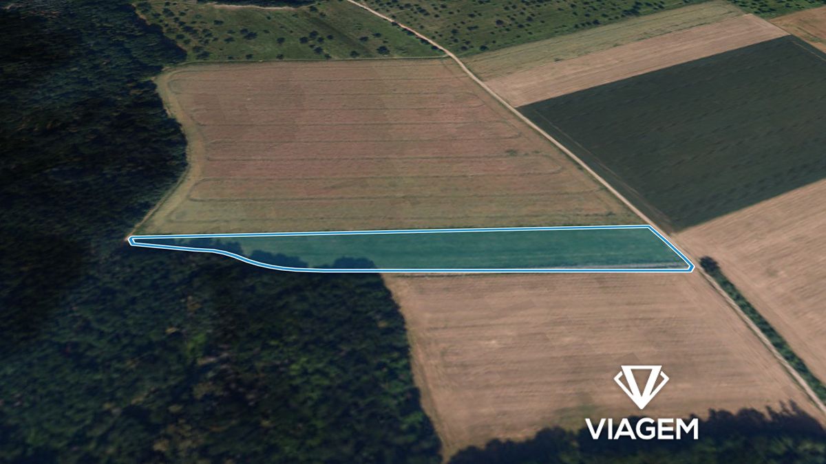 Prodej pole 10941 m² – fotografie 2