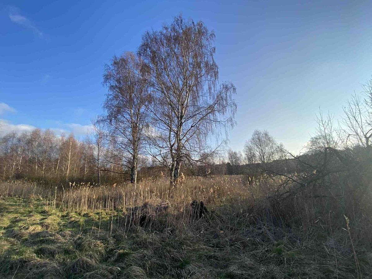 Prodej pole 2866 m² – fotografie 3