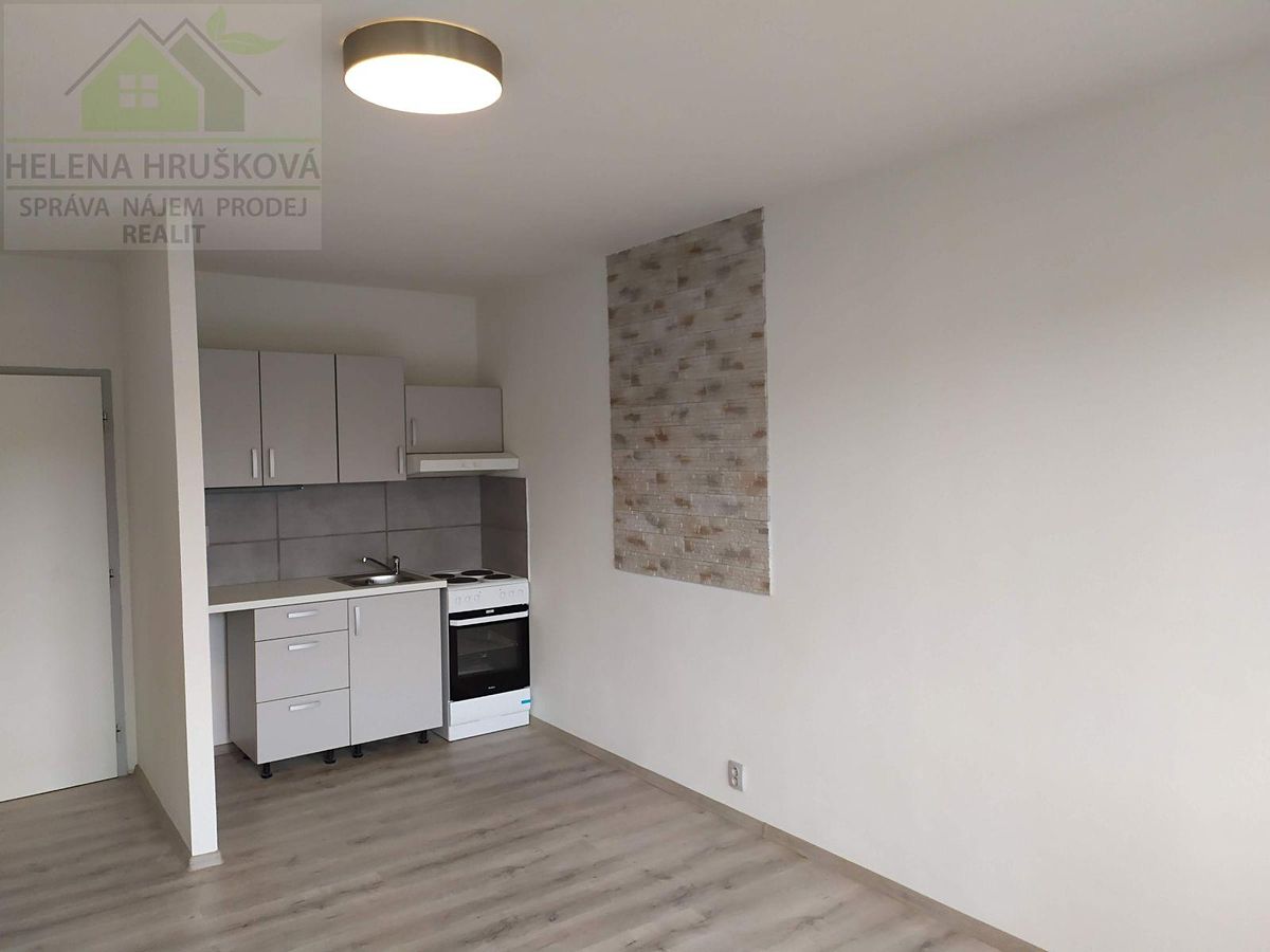 Pronájem bytu 1+kk 27 m² – fotografie 3