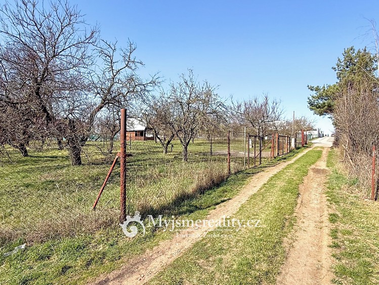 Ostatní