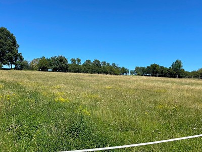 Prodej  pozemku 6 229 m²