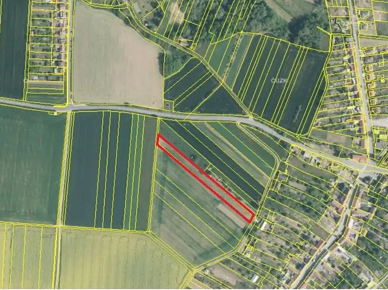 Prodej zahrady 3526 m², Lutopecny – náhled fotky 2