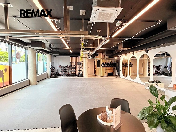 Pronájem komerčního prostoru, 173 m² (15 z 22)