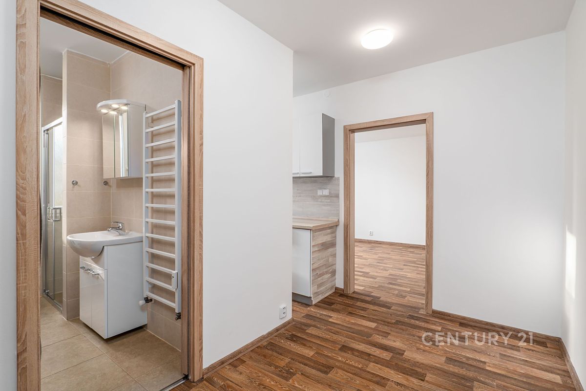 Pronájem bytu 1+1 35 m² – fotografie 4