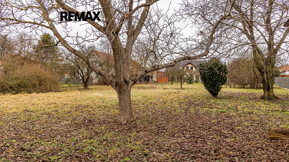 Prodej rodinného domu 235 m², pozemek 1359 m² – fotografie 5