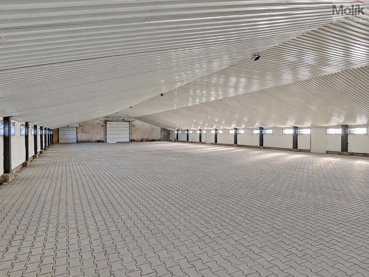 Pronájem skladového prostoru 1700 m² – fotografie 5