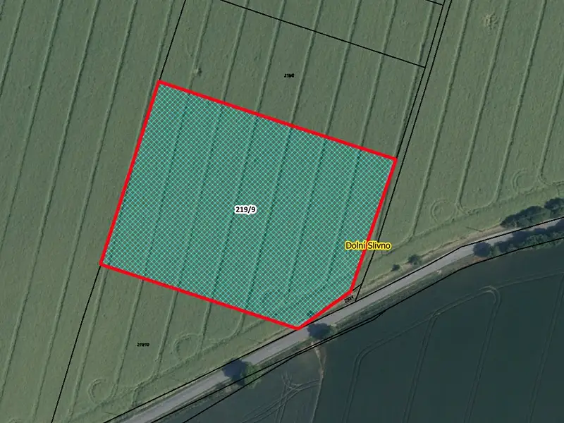 Prodej pozemku 11542 m², Dolní Slivno – náhled fotky 1