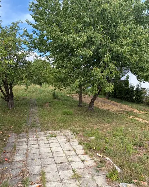 Prodej stavebního pozemku 869 m², Vanovice – náhled fotky 3