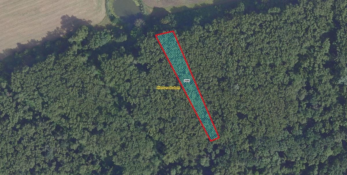 Prodej lesa 2974 m², Přerov nad Labem – fotka 1 z 3