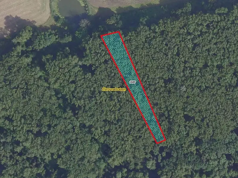 Prodej lesa 2974 m², Přerov nad Labem – náhled fotky 1