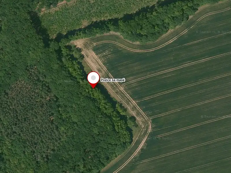 Prodej pozemku 5593 m², Dománovice – náhled fotky 2