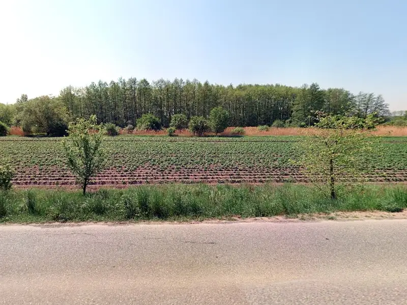 Prodej lesa 8812 m², Lysá nad Labem – náhled fotky 2