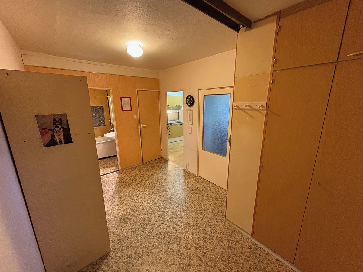 Prodej bytu 1+1 55 m² – fotografie 3