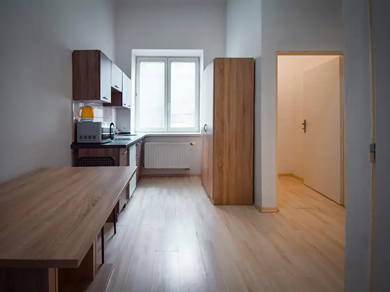 Pronájem bytu 2+1 45 m², Brno – náhled fotky 1