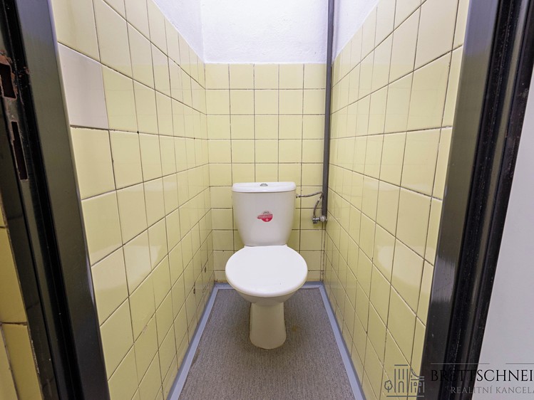 Pronájem komerčního prostoru, 110 m² (10 z 14)