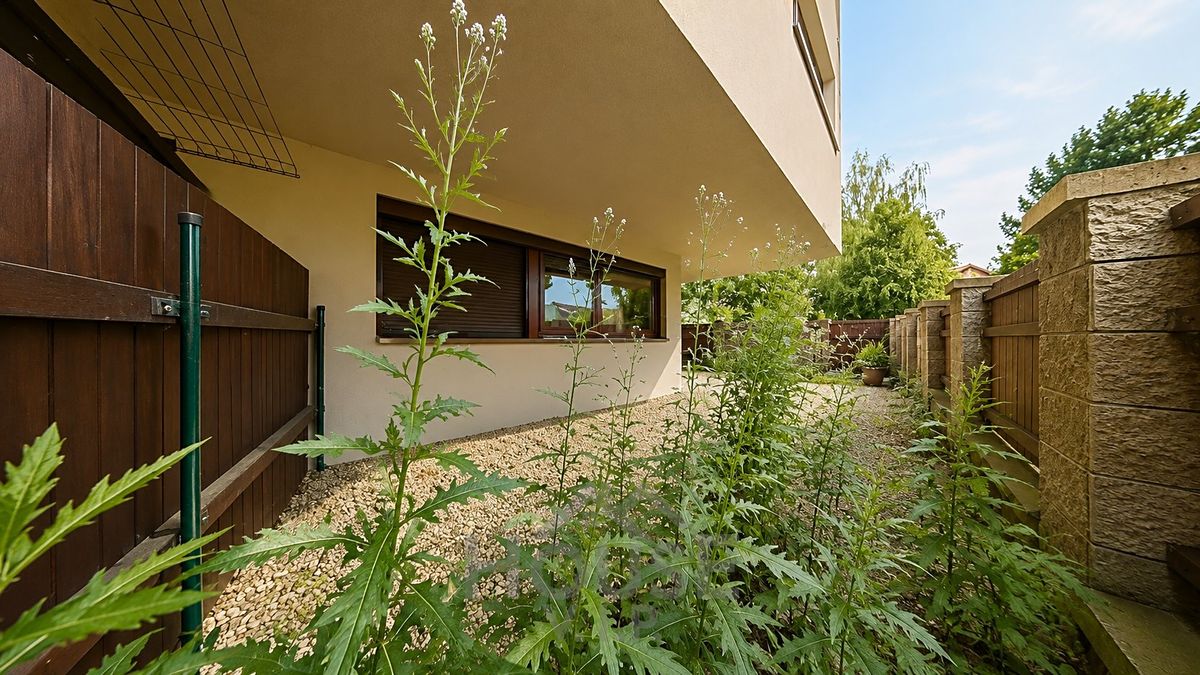 Prodej bytu 2+kk 52 m² – fotografie 4