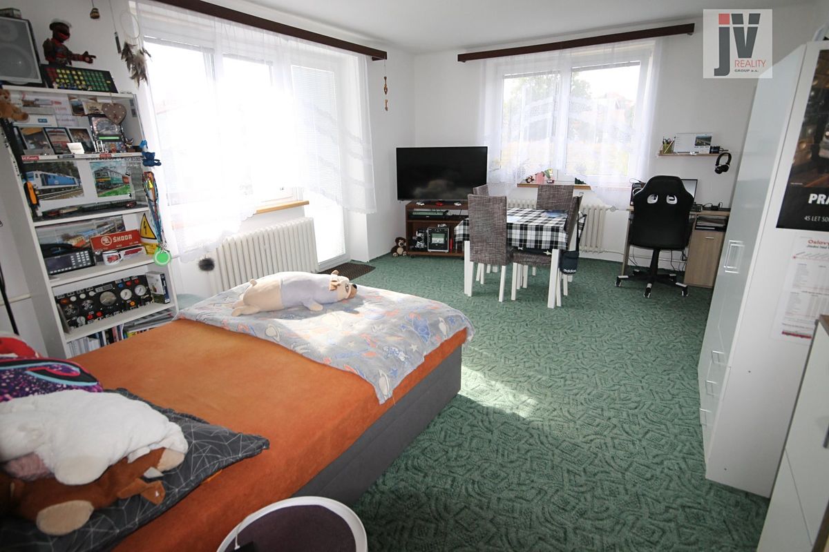Prodej rodinného domu 370 m², pozemek 431 m² – fotografie 4