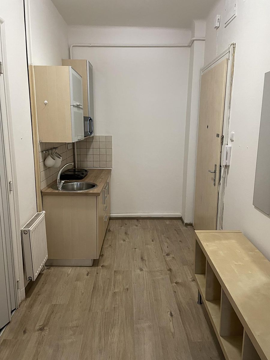 Pronájem bytu 1+kk 41 m² – fotografie 3