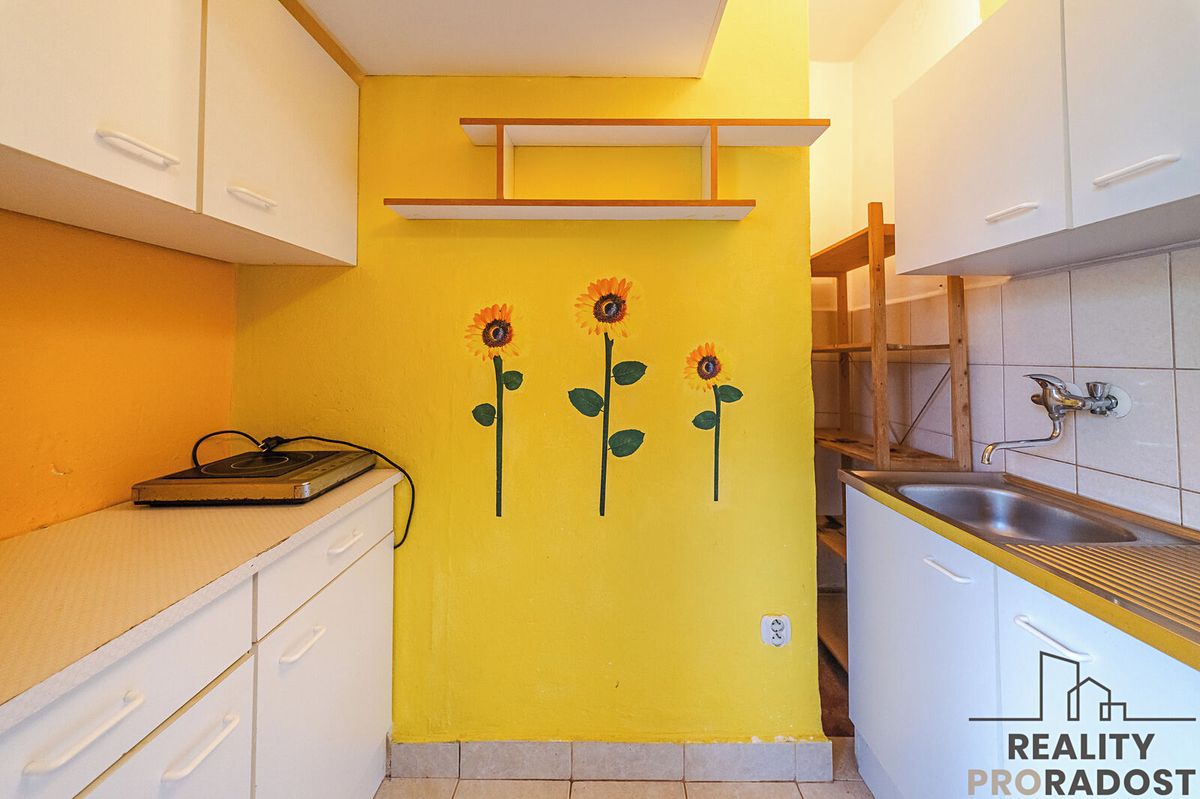 Prodej bytu 1+kk 20 m² – fotografie 4