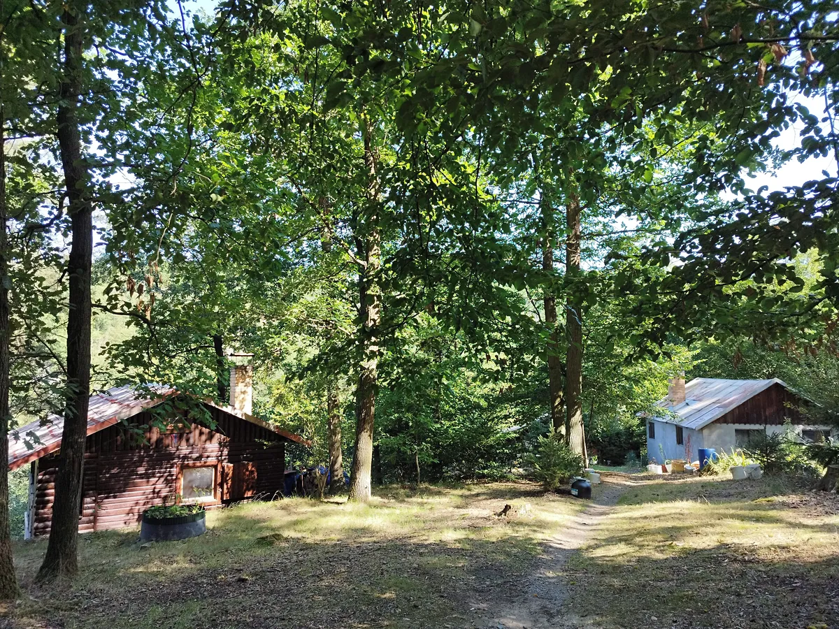 Prodej lesa 23078 m²