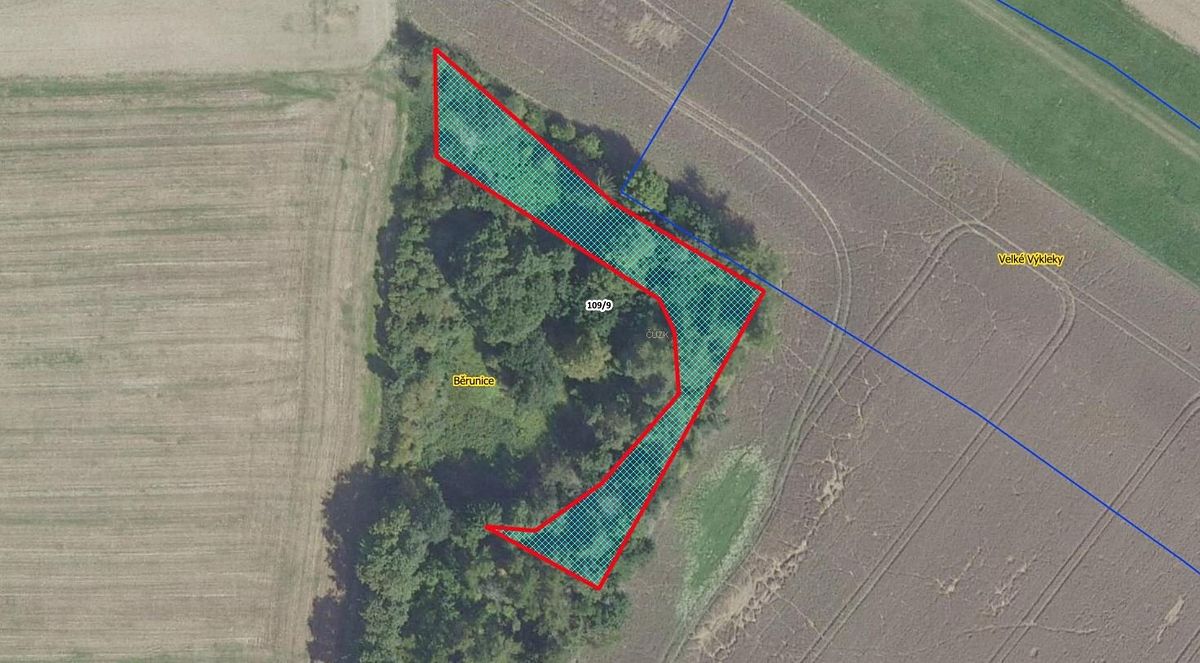 Prodej lesa 1361 m², Běrunice – fotka 1 z 3