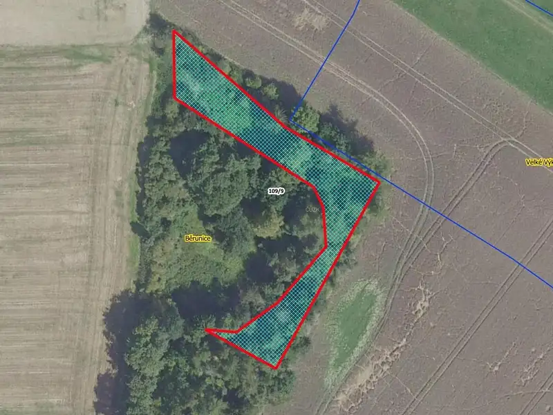 Prodej lesa 1361 m², Běrunice – náhled fotky 1
