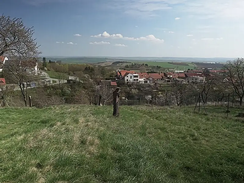 Prodej stavebního pozemku 859 m², Pozořice – náhled fotky 3