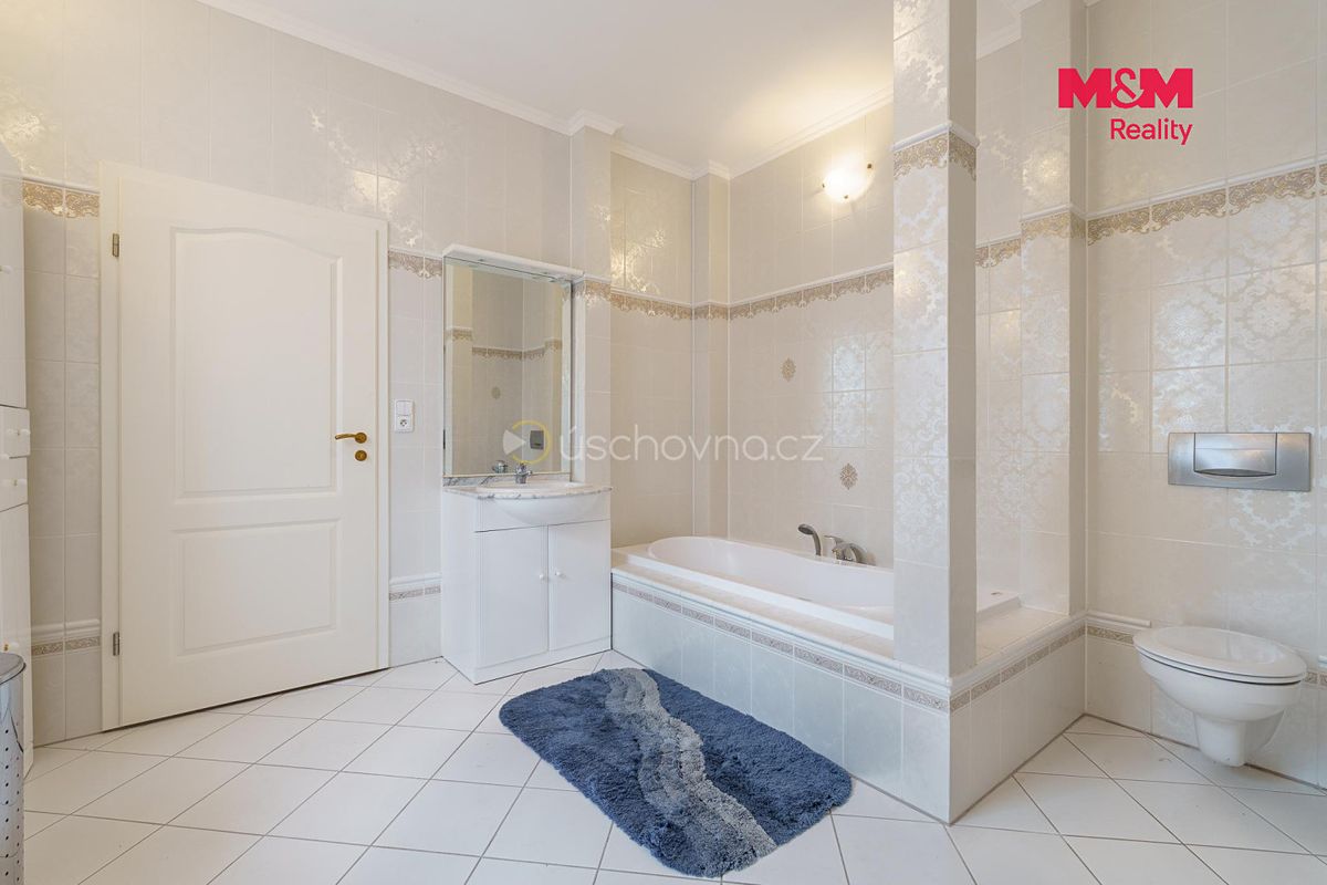Prodej rodinného domu 540 m², pozemek 1403 m² – fotografie 4
