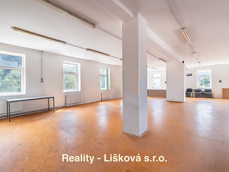 Комерційне приміщення в оренду, 261 м² (11 з 25)