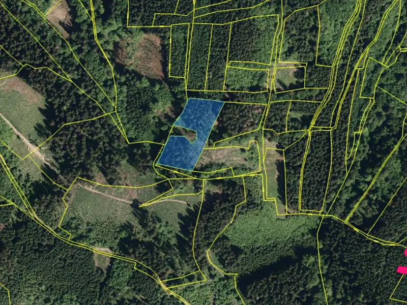 Prodej lesa 5887 m², Janová – náhled fotky 3