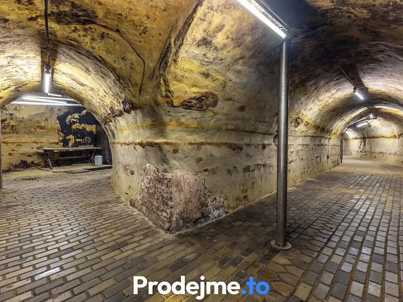 Prodej vinného sklepa 1000 m², Chvalovice – náhled fotky 3