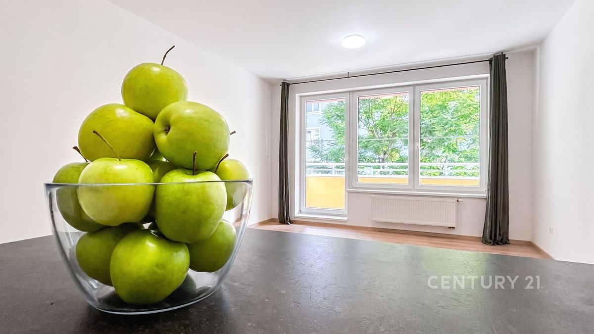 Pronájem bytu 1+kk 44 m² – fotografie 3