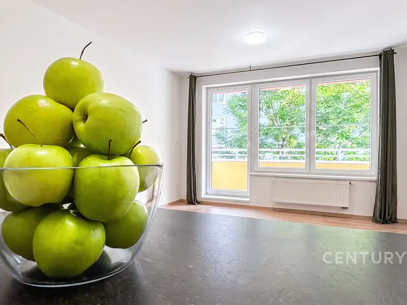 Pronájem bytu 1+kk 44 m², Benešov – náhled fotky 3