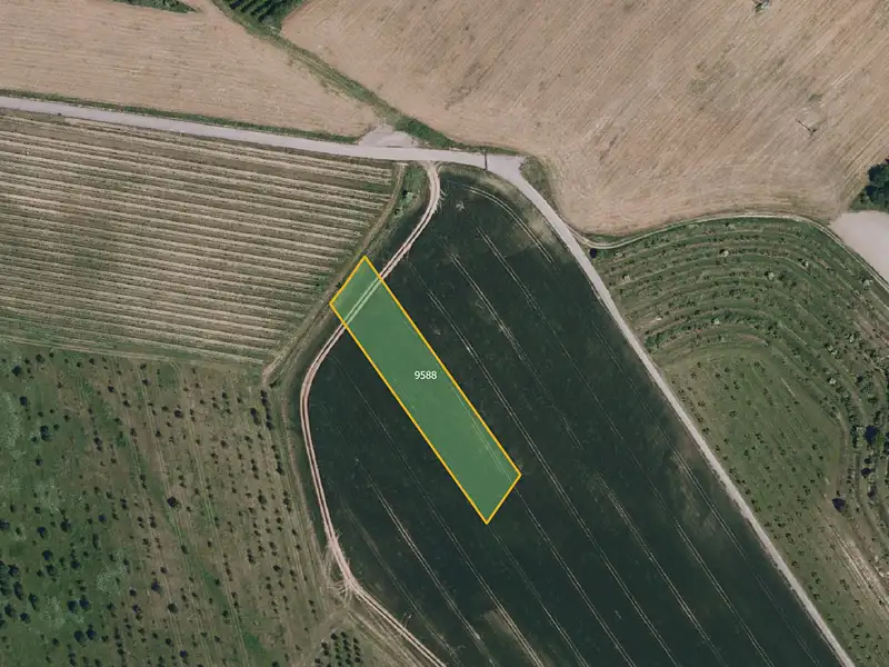 Prodej sadu, vinice 17433 m², Kobylí – náhled fotky 3