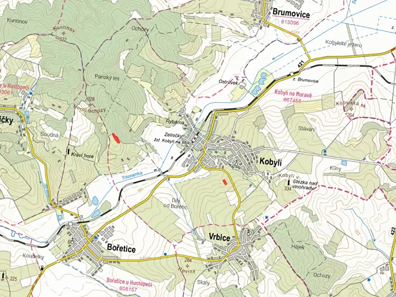 Prodej sadu, vinice 6109 m², Kobylí – náhled fotky 3