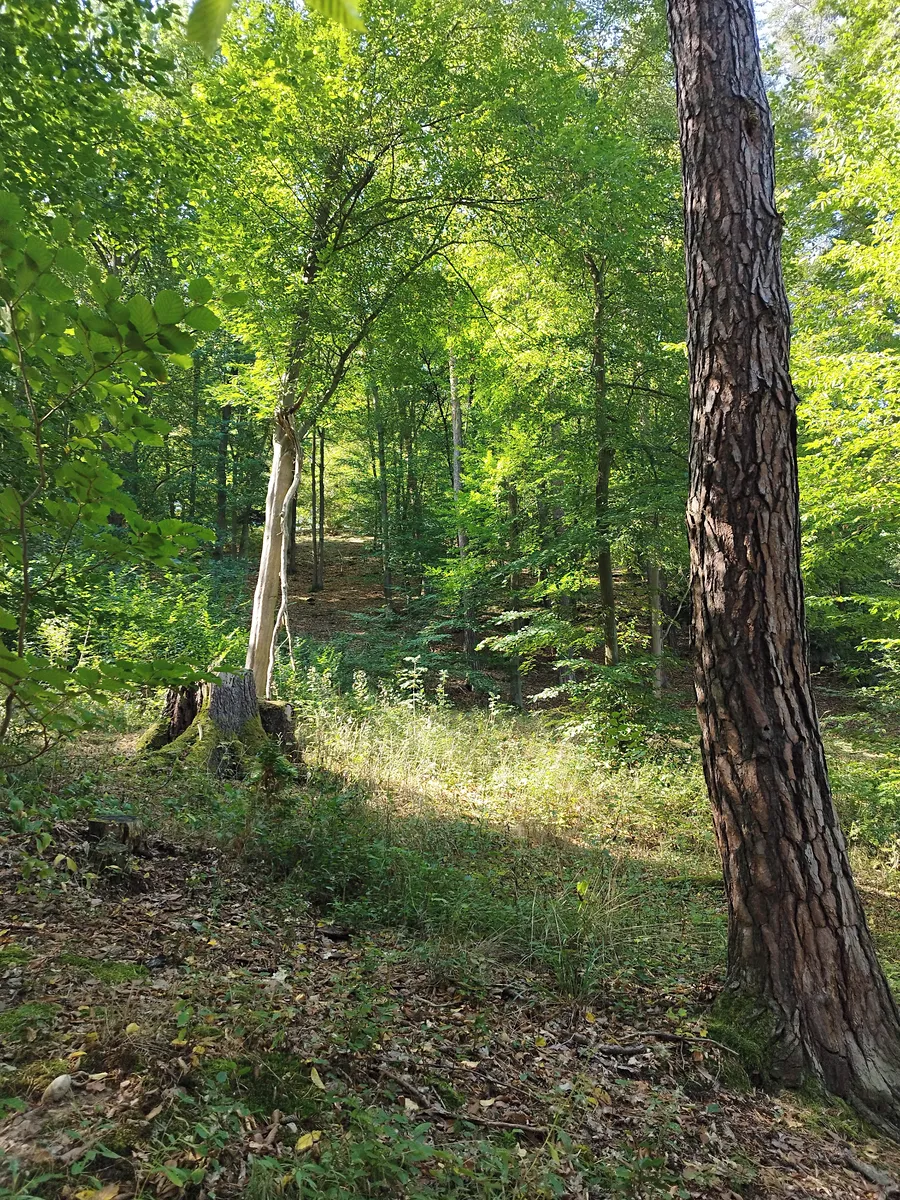 Fotka 10 z 10