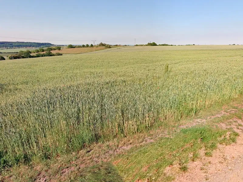Prodej pozemku 3597 m², Opočnice – náhled fotky 2