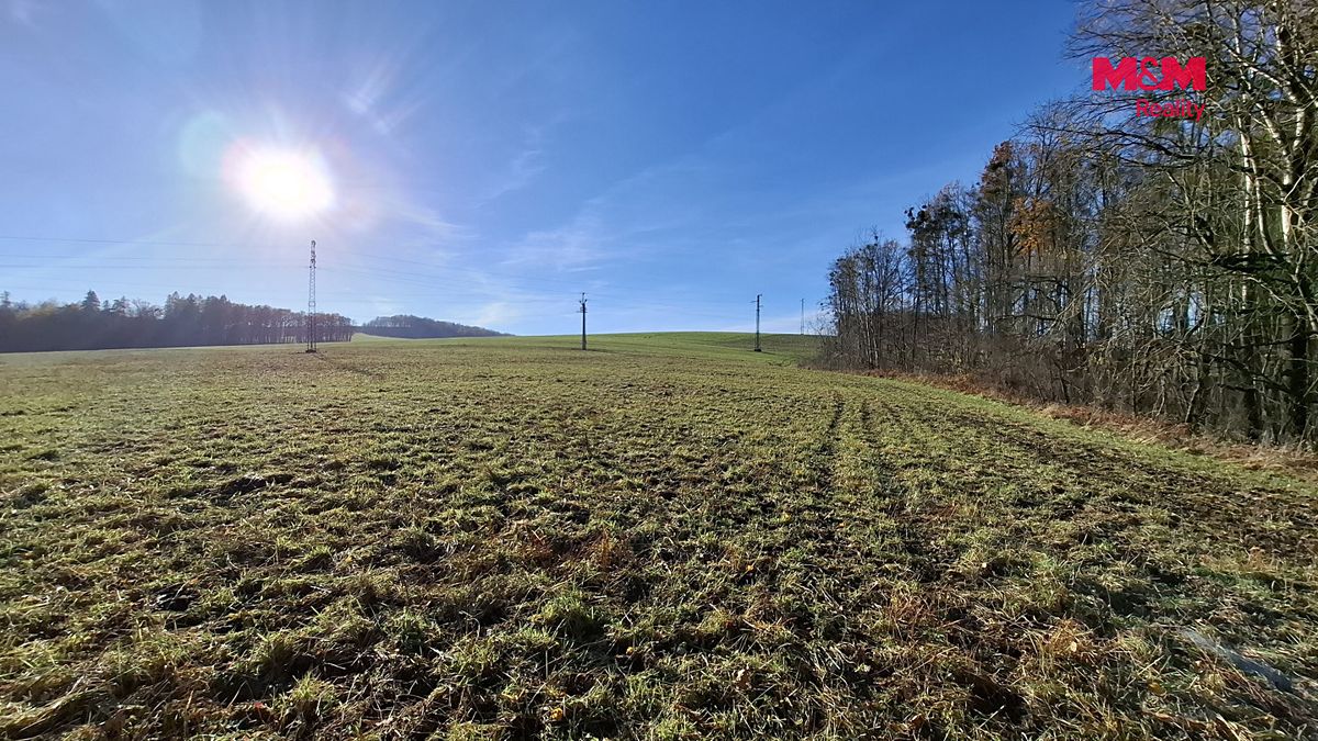 Prodej pole 6589 m² – fotografie 2