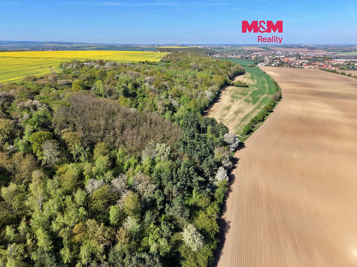 Prodej lesa 5857 m², Kounice – fotka 1 z 3