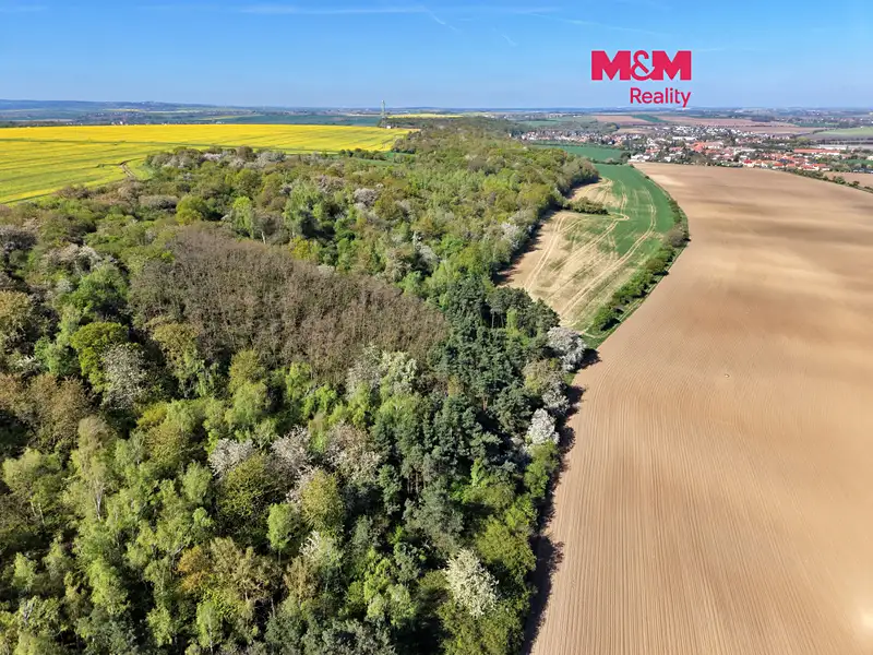 Prodej lesa 5857 m², Kounice – náhled fotky 1
