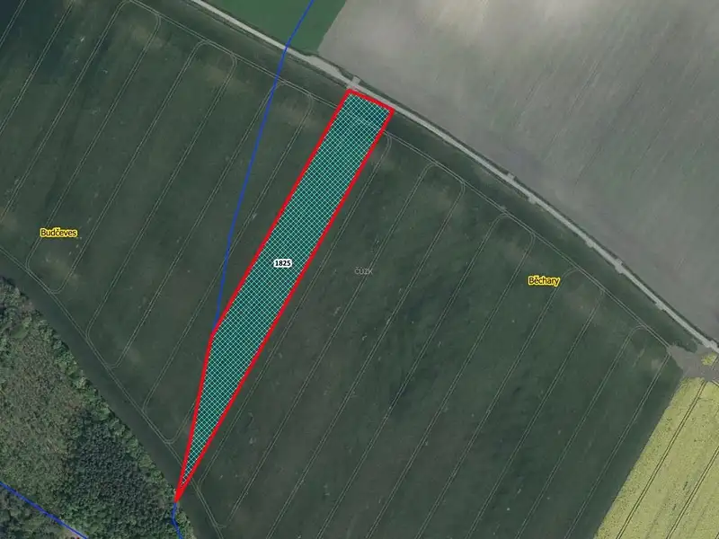 Prodej pole 12202 m², Běchary – náhled fotky 1